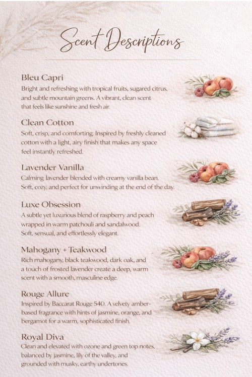 Laundry Detergent Sampler Pack