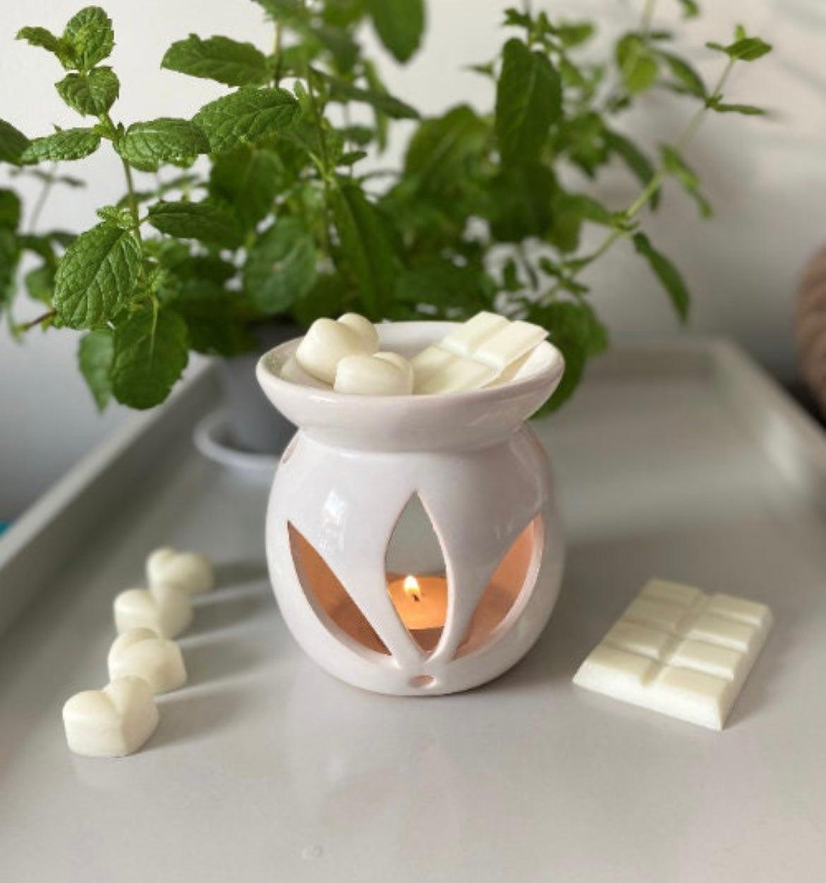Soy Wax Melt Mystery Bundle- Highly Scented